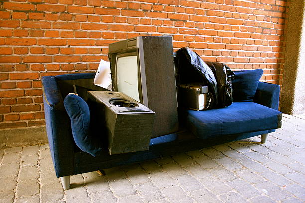 Best Professional Junk Removal  in Ely, IA