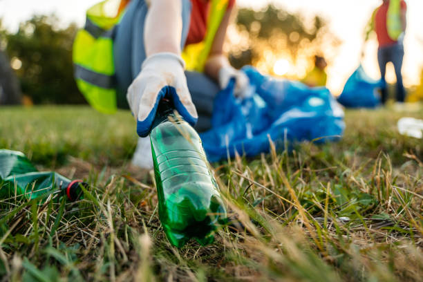 Best Yard Waste Removal  in Ely, IA