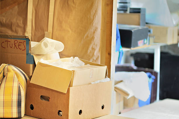Best Full-Service Junk Removal  in Ely, IA
